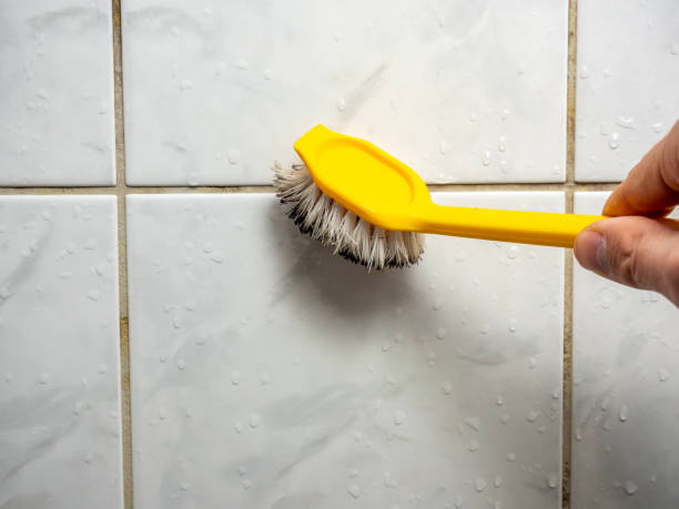Best Mold Cleaning Services  in Trevose, PA