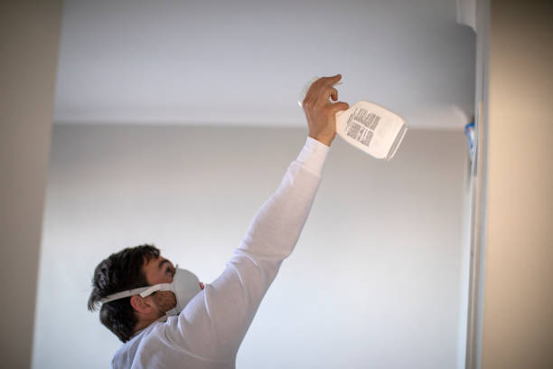 Best Mold Testing  in Trevose, PA