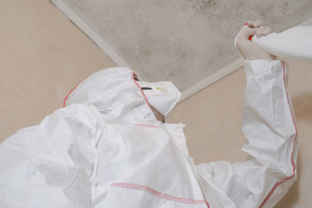 Best Certified Mold Removal  in Trevose, PA