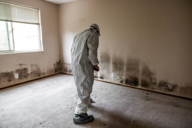 Best Office Mold Removal Services  in Trevose, PA